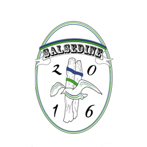 Logo Salsedine Calcio