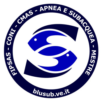 blusub venezia Mestre logo